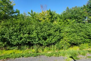 Land for Sale, 00 Tolmies Corners Rd, North Stormont, ON