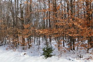 Vacant Residential Land for Sale, 00 Siberia Rd, Madawaska Valley, ON