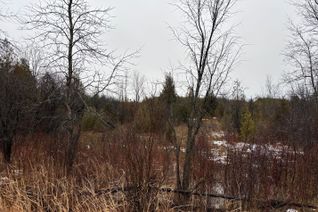 Land for Sale, 0 6th Concession Rd, Augusta, ON Land for Sale, 0 6th Concession Rd, Augusta, ON