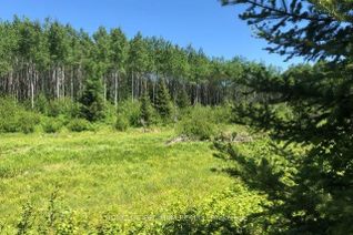 Property for Sale, 38.24 Acres in Ogden Township - PCL 24640 N/A, Timmins, ON Property for Sale, 38.24 Acres in Ogden Township - PCL 24640 N/A, Timmins, ON