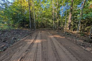 Vacant Residential Land for Sale, 1055 W Porkys Rd, Minden Hills, ON