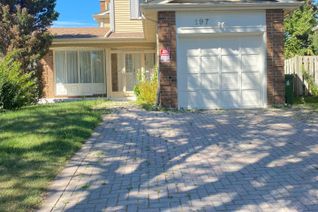 House for Rent, 197 Goldhawk Trl #Bsmt, Toronto, ON House for Rent, 197 Goldhawk Trl #Bsmt, Toronto, ON