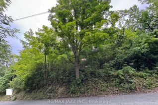 Vacant Residential Land for Sale, 0 Maple St, Trent Hills, ON