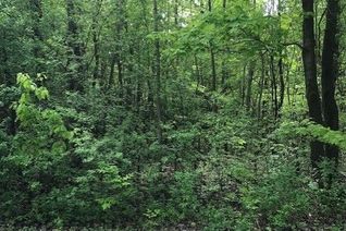 Property for Sale, 0 Graham Lake Rd, Front of Yonge, ON Property for Sale, 0 Graham Lake Rd, Front of Yonge, ON