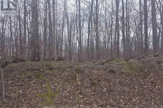 Commercial Land for Sale, Lot 9 Pt Lt 25, Con Rd 8, West Grey, ON
