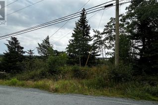 Commercial Land for Sale, 177 Bauline Line, Torbay, NL