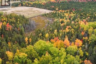 Land for Sale, 867 Pine Glen Road, Riverview, NB