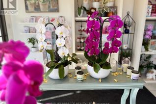Florist/Gifts Business for Sale, 332 Main Street N #9, Brampton (Brampton North), ON