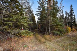 Property for Sale, Twp Rd 625 And Hwy 63, Rural Thorhild County, AB