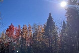 Commercial Land for Sale, Lot Bells Mills Road, Richiboucto-Village, NB