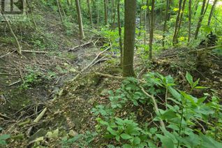 Commercial Land for Sale, 130 Old Highway 26 Highway, Meaford, ON