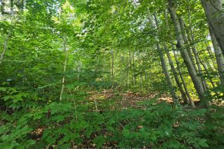 Commercial Land for Sale, 126 Old Highway 26 Highway, Meaford, ON