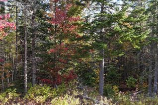 Property for Sale, Lot Chesley Road, Barss Corner, NS