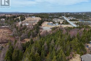 Land for Sale, 100-102 Cabot Ave Extension, Whitbourne, NL