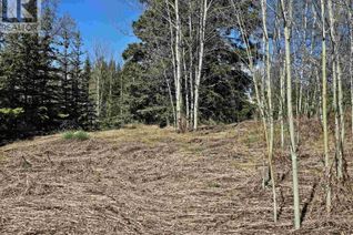 Property for Sale, 101 5th Avenue, Burns Lake, BC Property for Sale, 101 5th Avenue, Burns Lake, BC