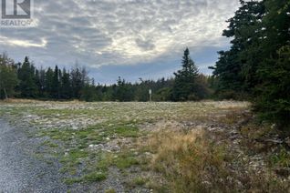 Commercial Land for Sale, 72 Gully Path, Harbour Grace, NL