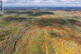 Land for Sale, Green Lake Grant 18349, Owls Head Harbour, NS
