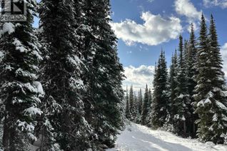 Commercial Land for Sale, 345 Prairie Road, Smithers, BC