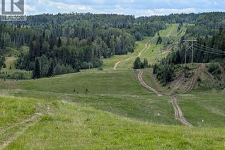Commercial Farm for Sale, 8 Range Road, Rocky Mountain House, AB