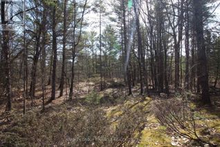 Land for Sale, Lot 15 Concession 9, Trent Lakes, ON