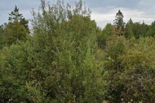 Commercial Land for Sale, 2 Cherry Hill Road, Northern Bruce Peninsula, ON