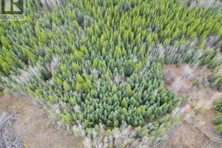 Commercial Land for Sale, 13 Clearview Drive #LOT, Burns Lake, BC