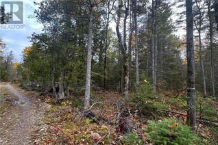 Property for Sale, Pt Lt 16 Con 4 Green Bush Road, Little Current, ON