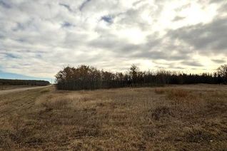 Land for Sale, 15015 Township Road 424 Township #1, Rural Ponoka County, AB