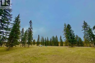Commercial Land for Sale, 308 Valley View Drive, Rural Clearwater County, AB