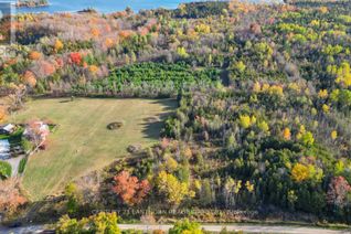 Commercial Land for Sale, 3 Acreman Road, Centre Hastings, ON
