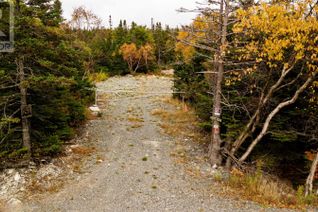 Commercial Land for Sale, X Cape Pond Road, Tors Cove, NL