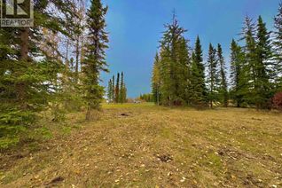 Commercial Land for Sale, 401 Valley View Close, Rural Clearwater County, AB