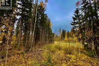 Commercial Land for Sale, 301 Valley View Drive, Rural Clearwater County, AB