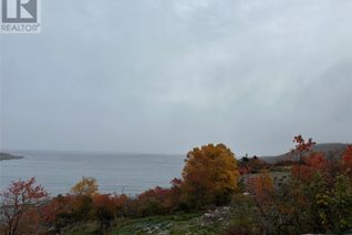 Property for Sale, 41-45 Motion Bay Road Extension, Petty Harbour- Maddox Cove, NL