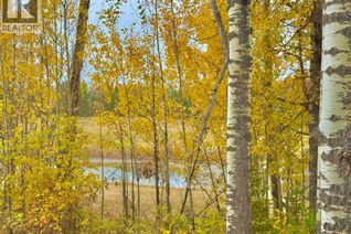 Commercial Land for Sale, 417 Valley View Close, Rural Clearwater County, AB