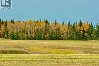 Commercial Land for Sale, 409 Valley View Close, Rural Clearwater County, AB