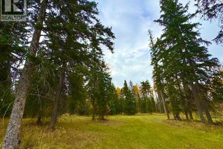 Commercial Land for Sale, 201 High Timber Place, Rural Clearwater County, AB