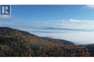 Commercial Land for Sale, Proposed Lot 3 Richie Road, Rossland, BC