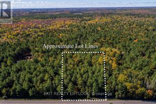 Commercial Land for Sale, 590 County Rd 40, Douro-Dummer, ON