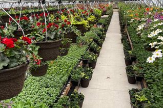 Business for Sale, 19 Ledge Road, Trent Lakes, ON