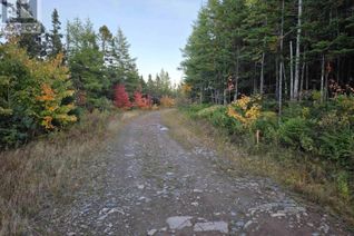 Property for Sale, Land 104 Highway, River Bourgeois, NS