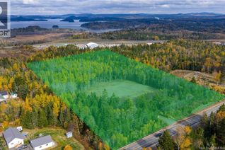 Property for Sale, Route 172, St George, NB