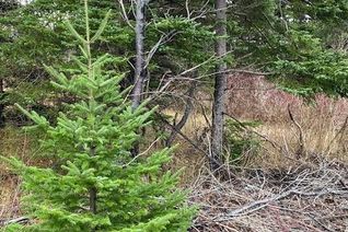 Property for Sale, 104-108 Highway East, Victoria, NL