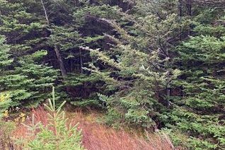 Property for Sale, 94-96 Highway East, Victoria, NL