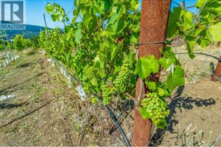Commercial Farm for Sale, 9269 Highway 6, Coldstream, BC