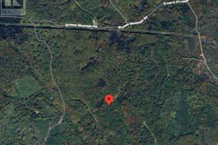 Commercial Land for Sale, 0 Browns Mountain Road, Browns Mountain, Browns Mountain, NS