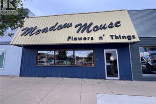 Commercial/Retail Property for Sale, 224 Centre Street, Meadow Lake, SK
