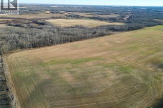 Farm for Sale, Robertson Quarter Section-Rm Medstead, Medstead Rm No.497, SK