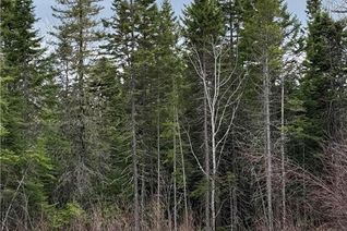 Commercial Land for Sale, Land Route 515, Saint-Paul, NB