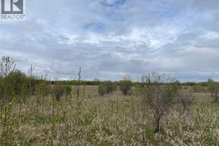 Property for Sale, 5.5km South Of Dorintosh Lot 4, Meadow Lake Rm No.588, SK
